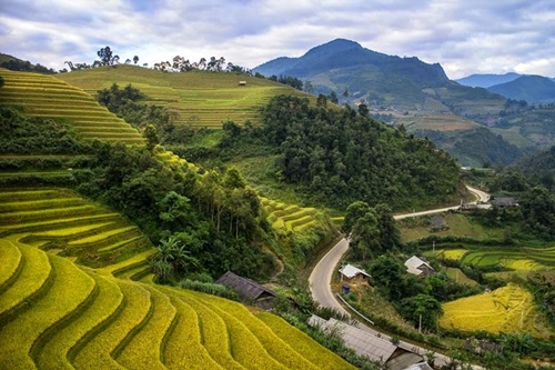 ruộng bậc thang Mù Cang Chải